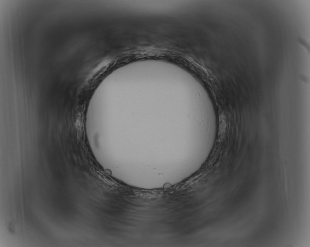 X0000094081254200710190910