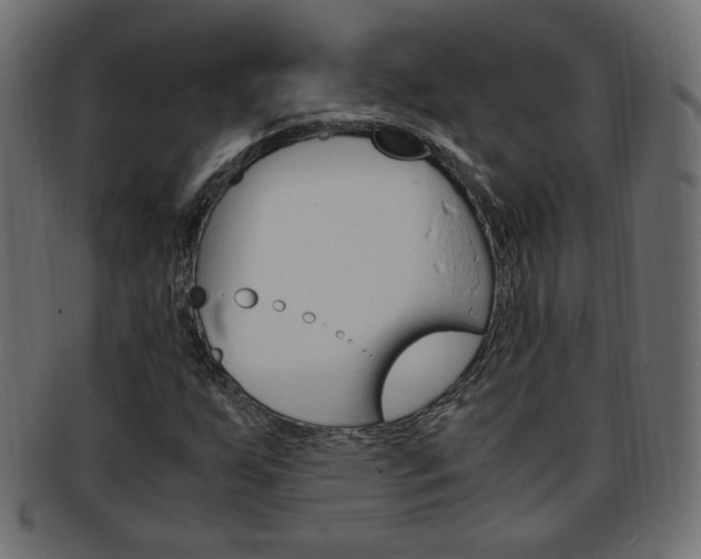 X0000094081255200710190910