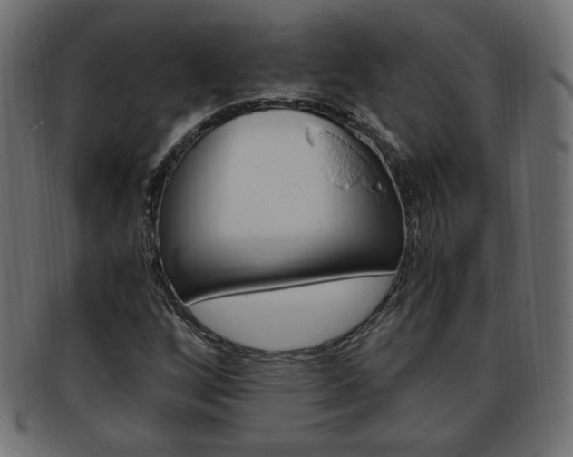 X0000094081256200710190910