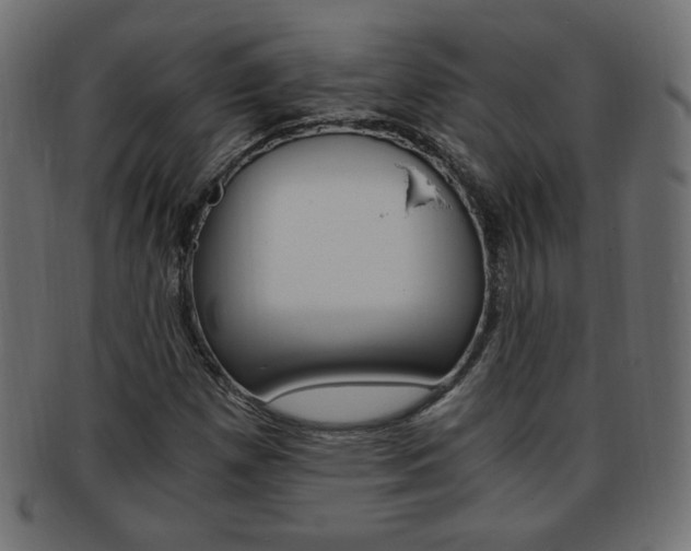 X0000094081257200710190910