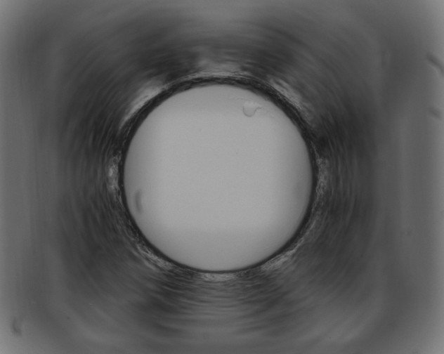 X0000094081258200710190910