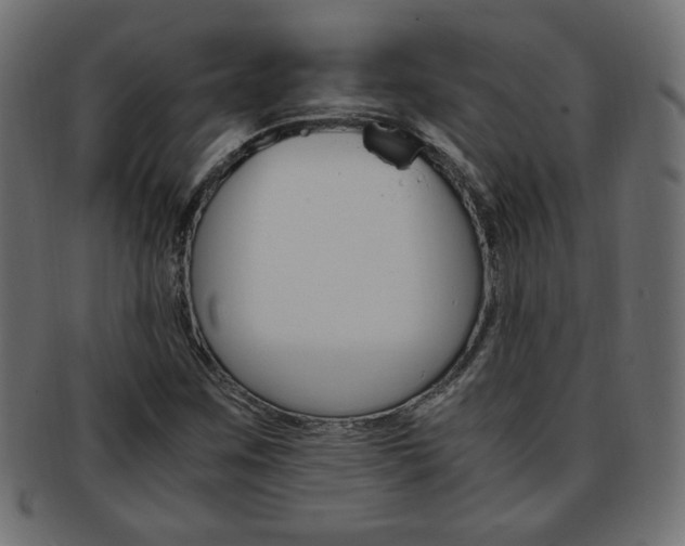 X0000094081259200710190910