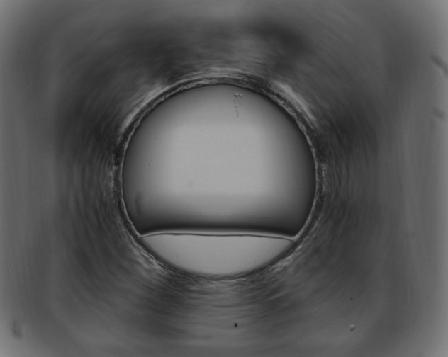 X0000094081260200710190910
