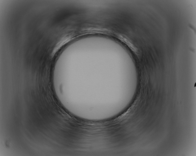 X0000094081261200710190910