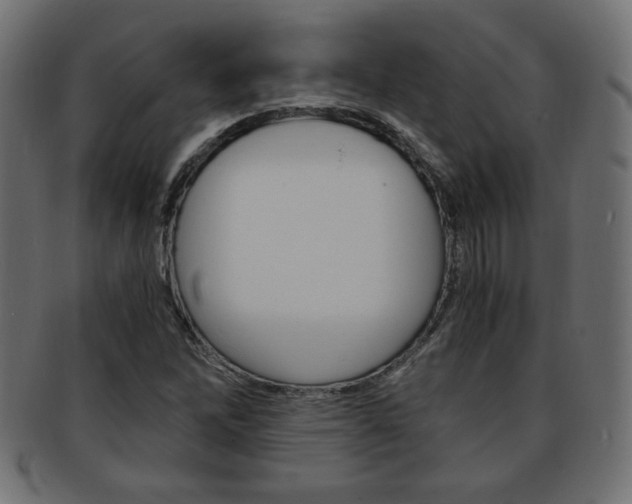 X0000094081262200710190910