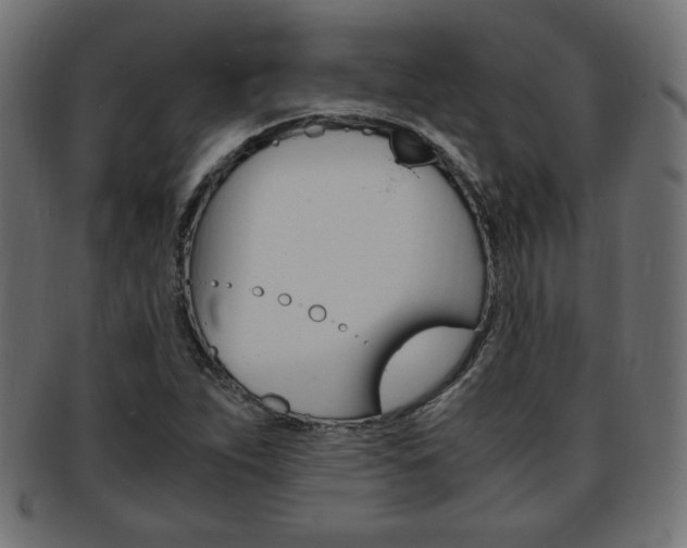 X0000094081263200710190909