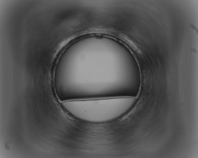 X0000094081264200710190909