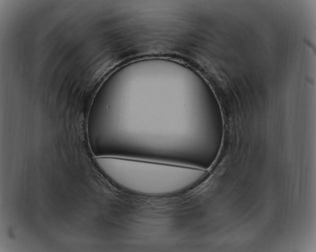 X0000094081265200710190909