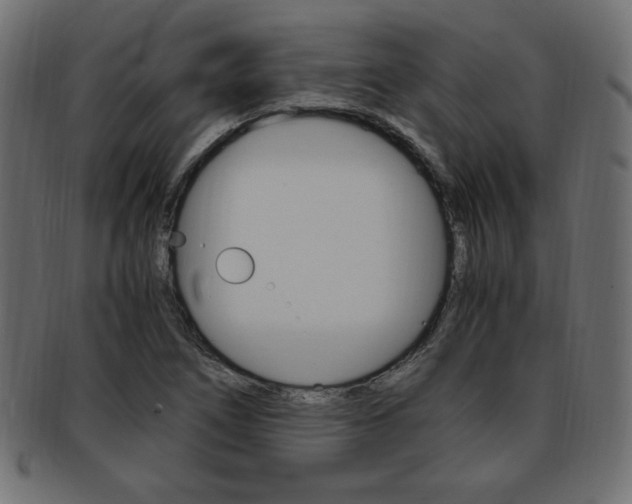 X0000094081266200710190909
