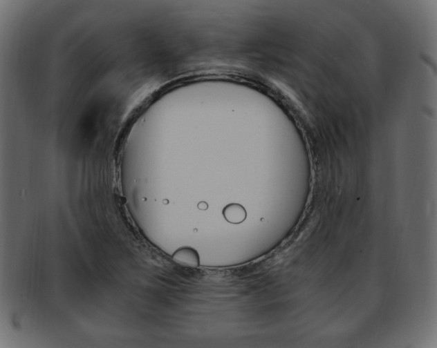 X0000094081267200710190909