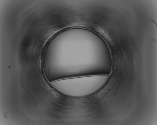 X0000094081268200710190909