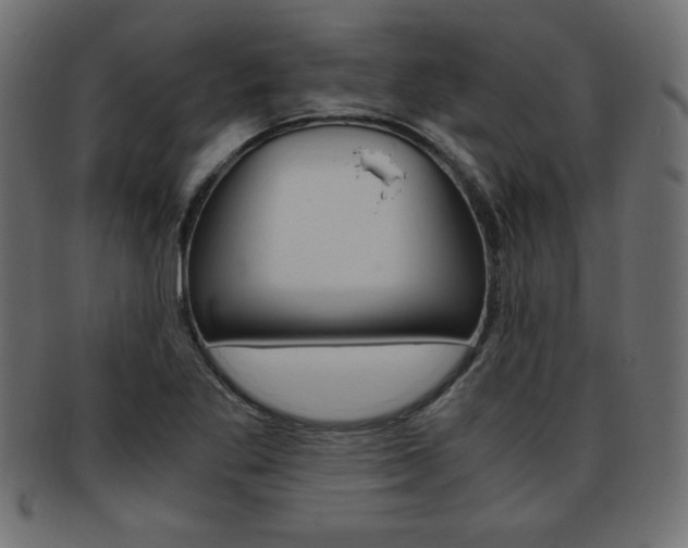 X0000094081269200710190909