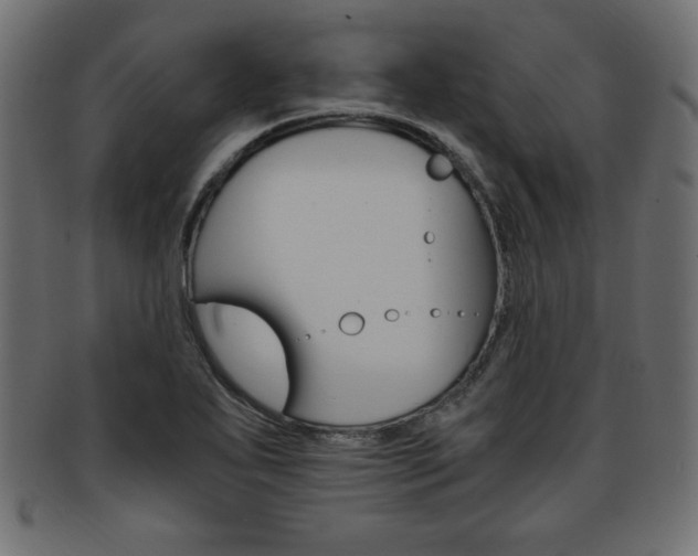 X0000094081271200710190909