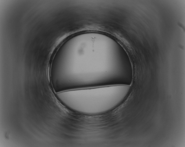 X0000094081272200710190909
