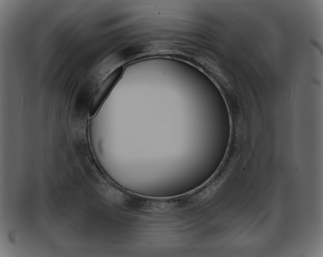 X0000094081273200710190909