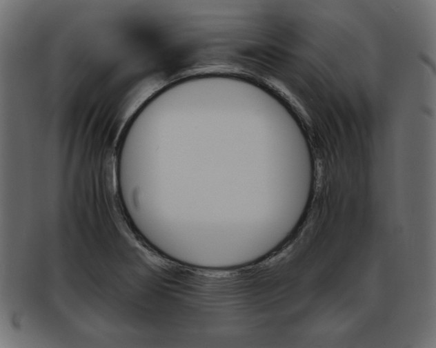 X0000094081274200710190909