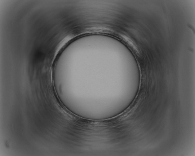X0000094081275200710190909