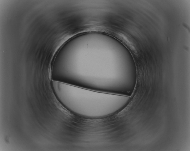 X0000094081276200710190909