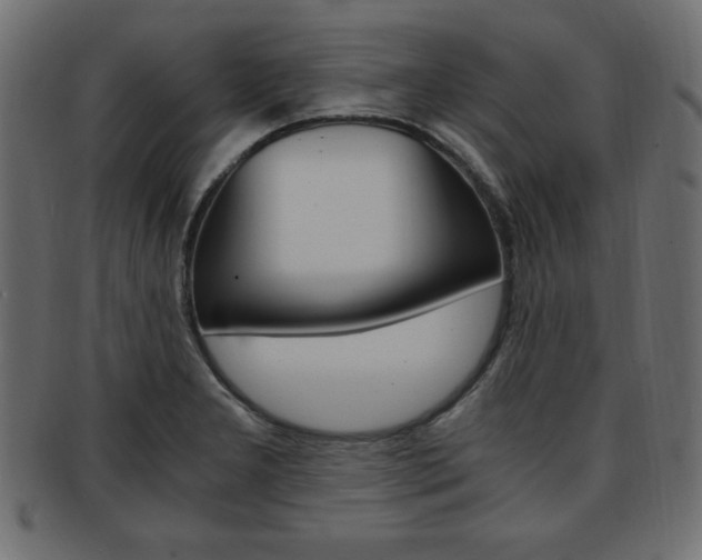 X0000094081277200710190909