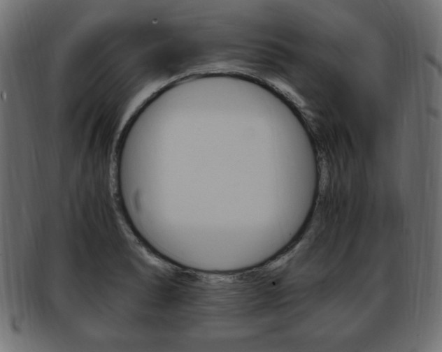 X0000094081278200710190909