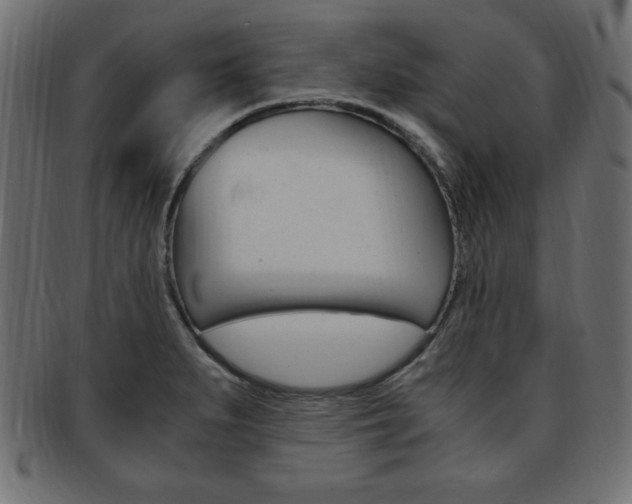 X0000094081279200710190909