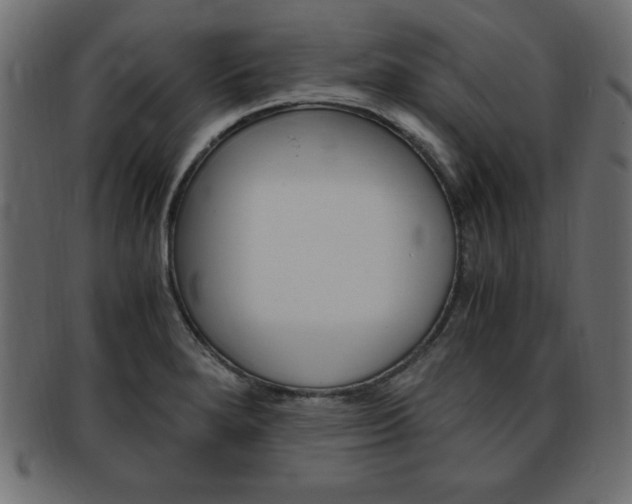X0000094081280200710190909