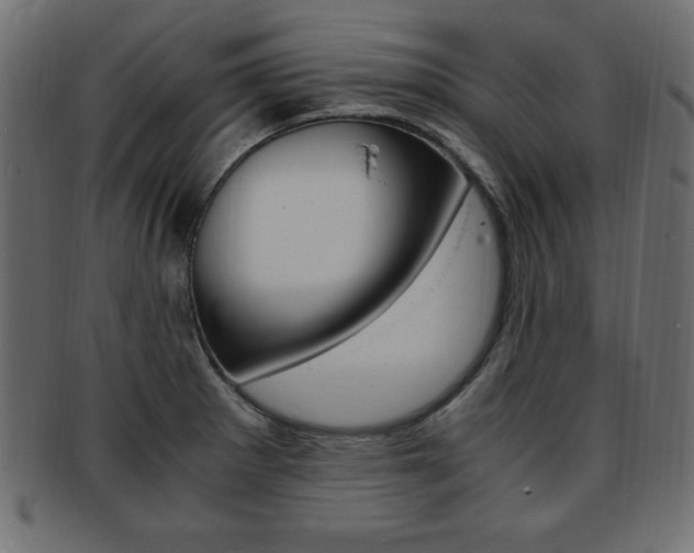 X0000094081281200710190909