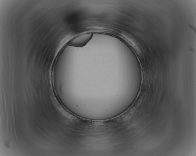 X0000094081283200710190909
