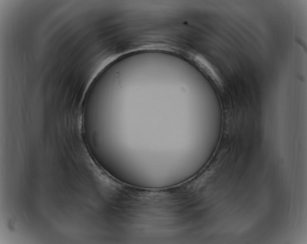 X0000094081284200710190909