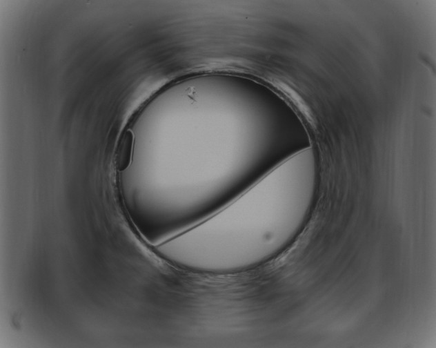 X0000094081285200710190909