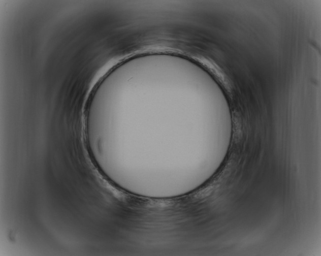 X0000094081286200710190909
