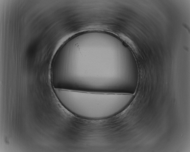 X0000094081288200710190909