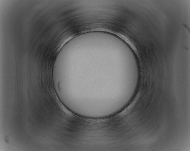 X0000094081289200710190909