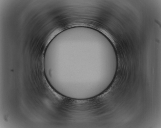 X0000094081290200710190909