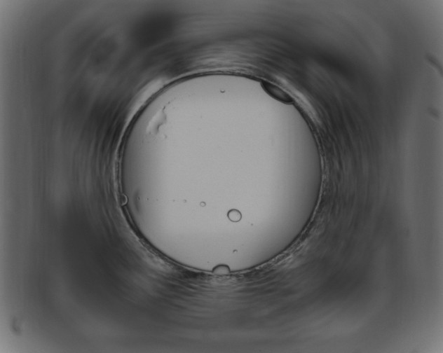 X0000094081291200710190909