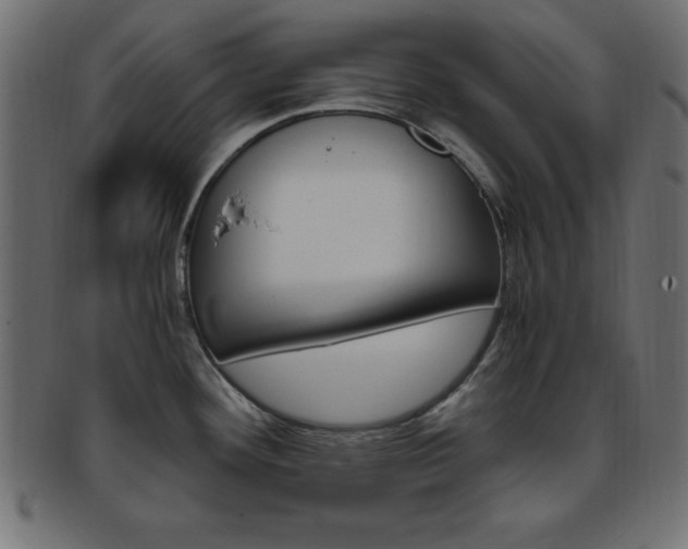 X0000094081292200710190909