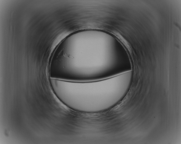 X0000094081293200710190909
