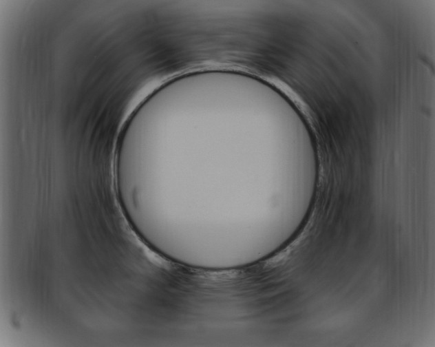 X0000094081294200710190909