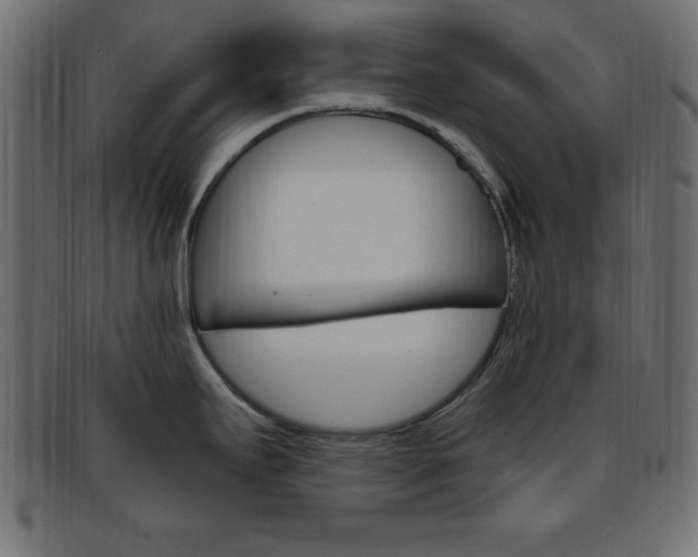 X0000094081295200710190909