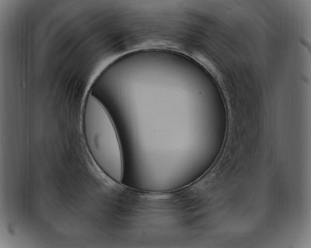 X0000094081296200710190909