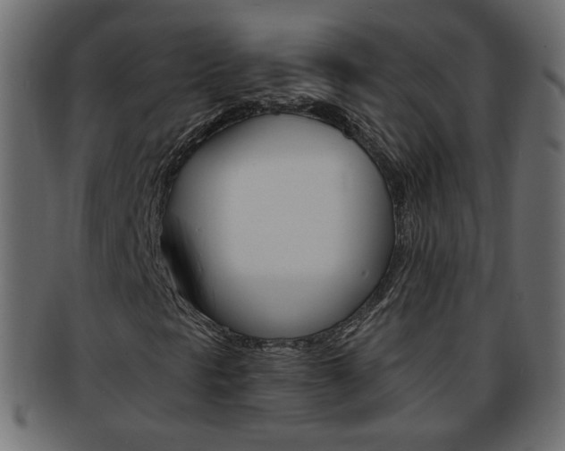 X0000094081297200710190908