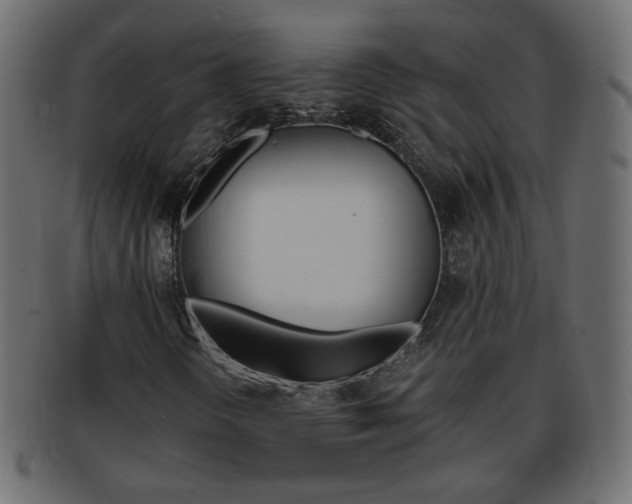 X0000094081298200710190908