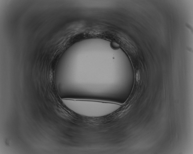 X0000094081299200710190908