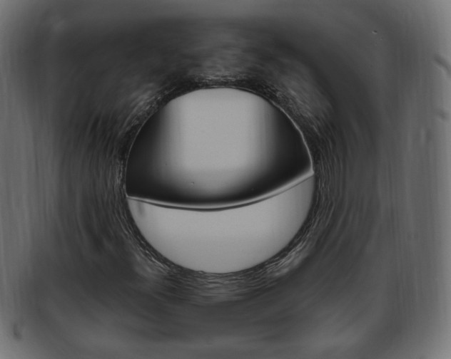 X0000094081300200710190908