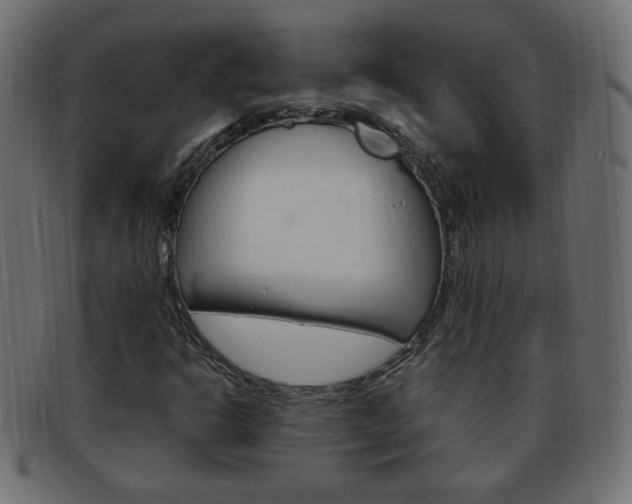 X0000094081302200710190908