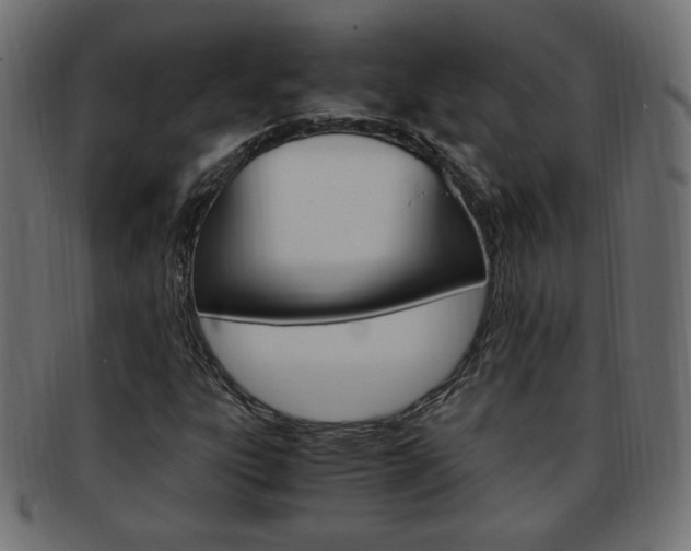 X0000094081303200710190908