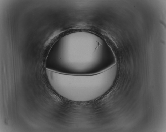 X0000094081304200710190908