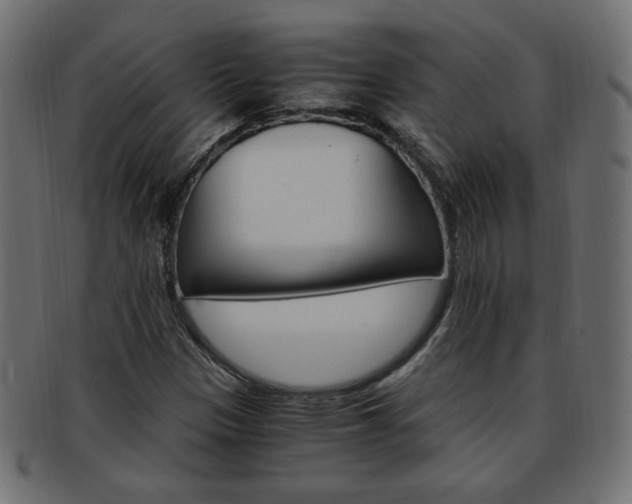 X0000094081305200710190908