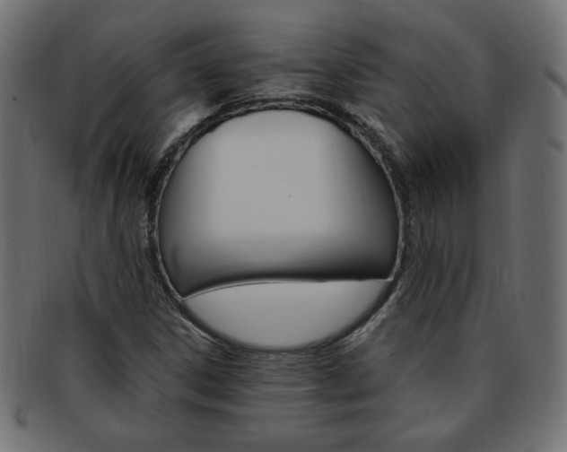 X0000094081306200710190909