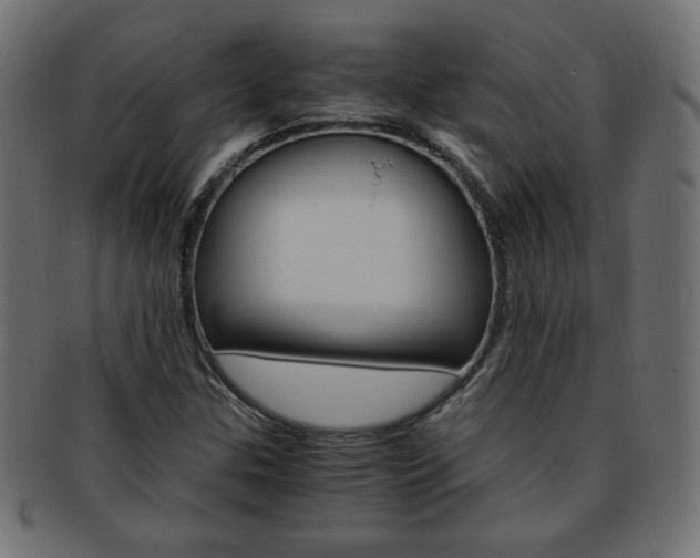 X0000094081307200710190909